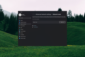 When and How to Perform a Network Reset on Windows 11